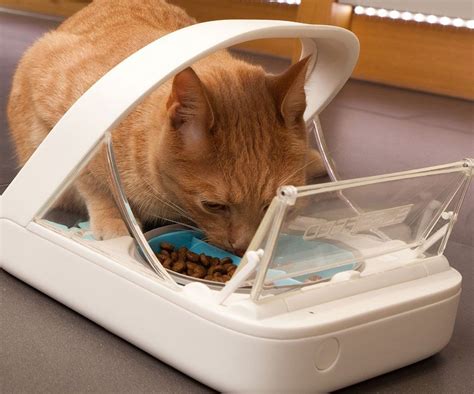 rfid chip cat feeder|cat feeders for multiple cats.